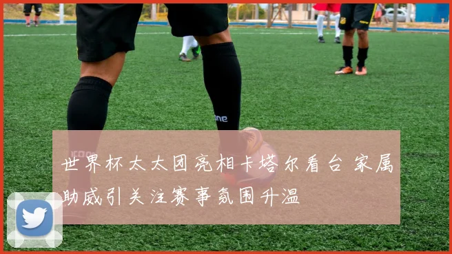 世界杯太太团亮相卡塔尔看台 家属助威引关注赛事氛围升温