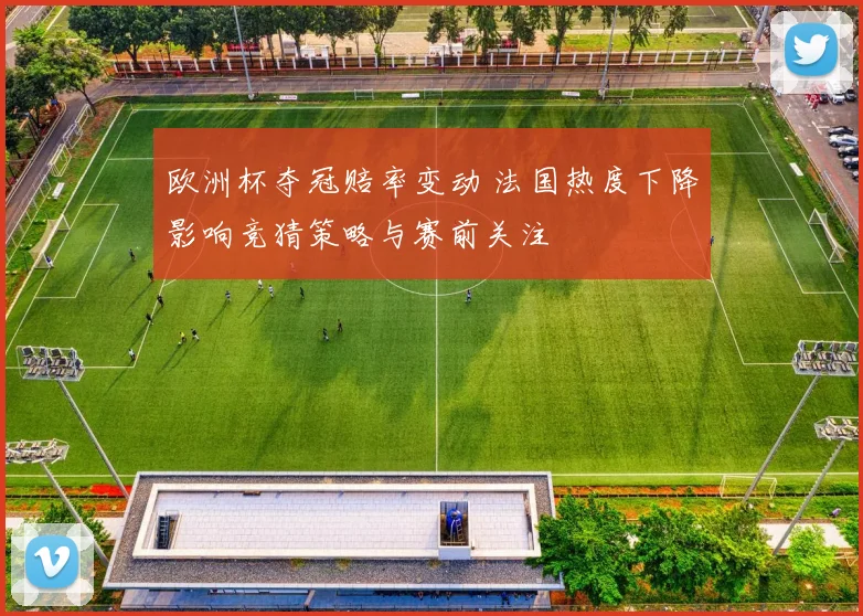 欧洲杯夺冠赔率变动 法国热度下降影响竞猜策略与赛前关注