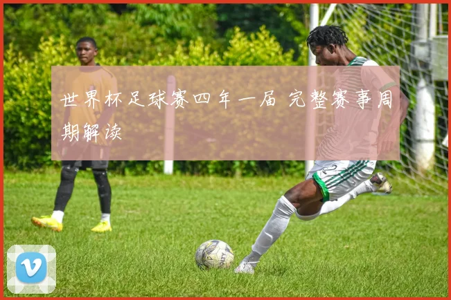 世界杯足球赛四年一届 完整赛事周期解读